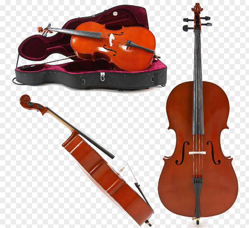 Violin Bass Violone Viola Cello Double PNG