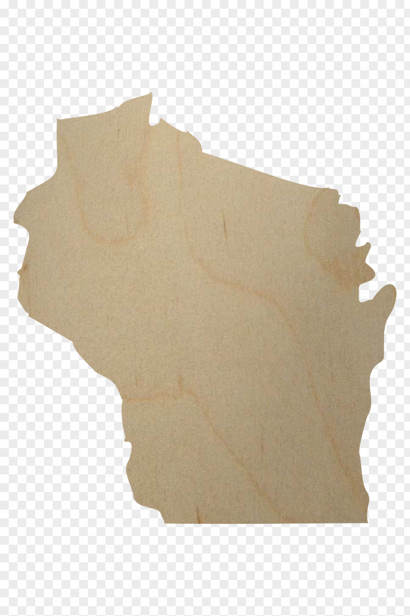 Wood Slice Ohio /m/083vt Florida T-shirt PNG