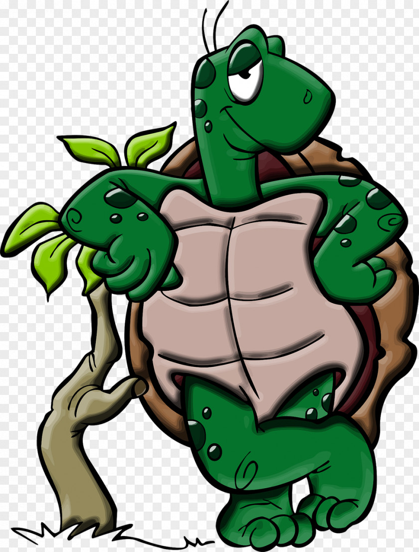 Cartoon Turtle Reptile Tortoise Clip Art PNG