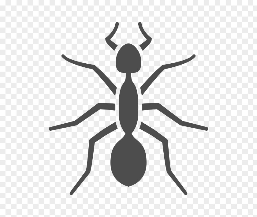 Cockroach Ant Pest Control Exterminator PNG