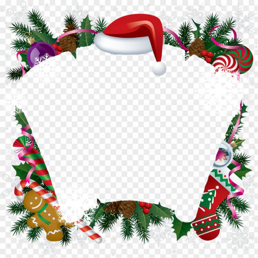 Conifer Christmas Eve And New Year Background PNG