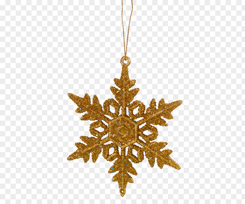 Jewellery Plant Christmas Ornament PNG