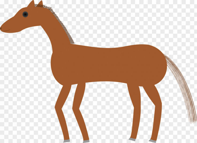 Mustang Mane Foal Pony Colt PNG