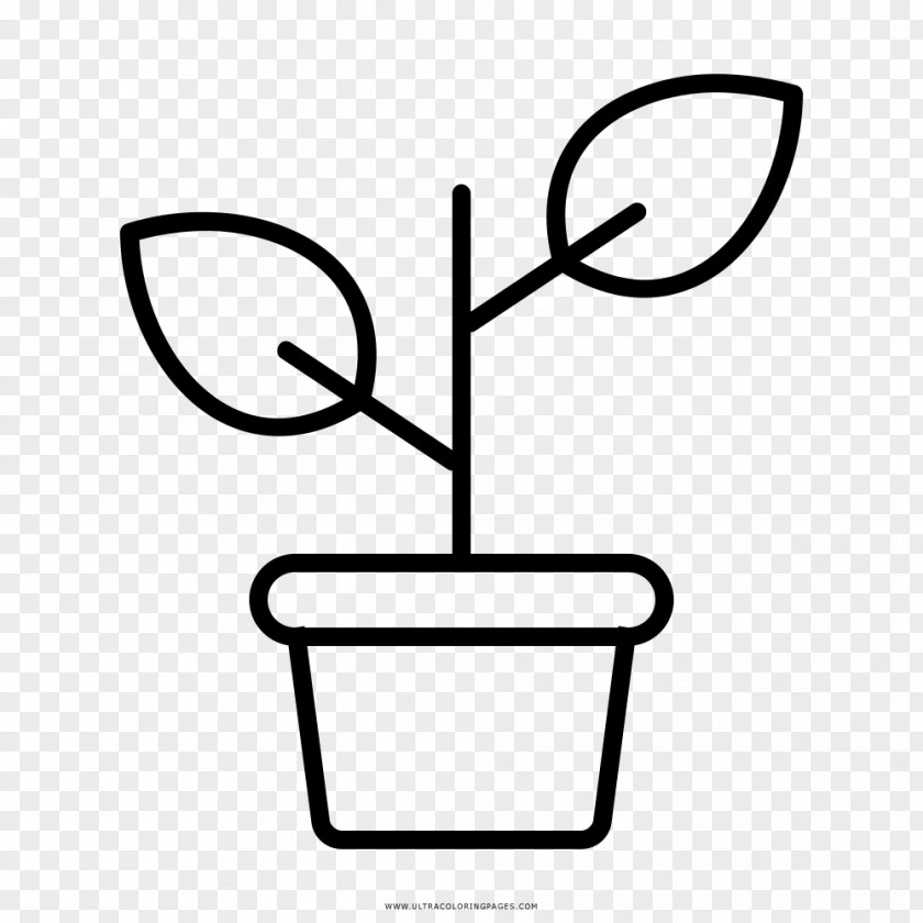 Plant Drawing Coloring Book Clip Art PNG