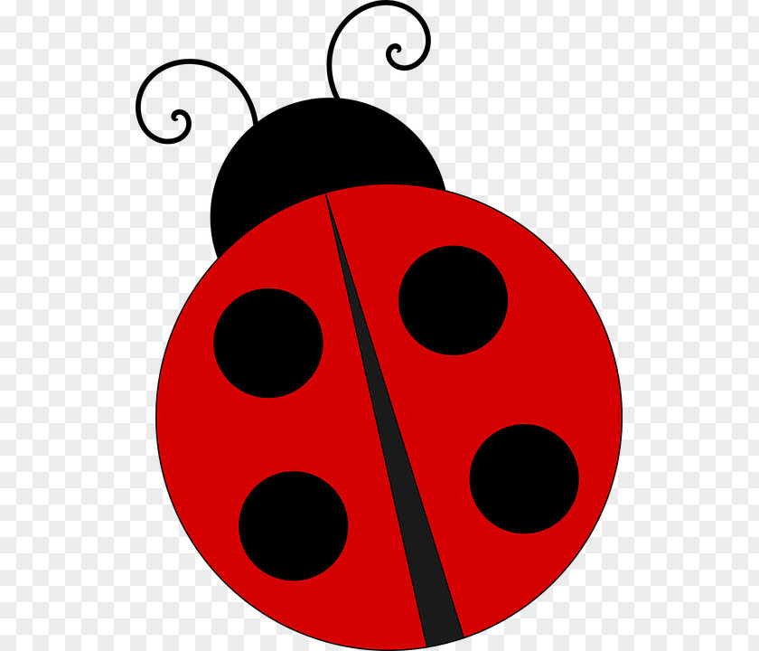 Beetle Ladybird Adrien Agreste Clip Art PNG