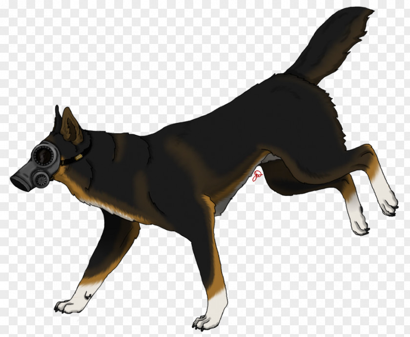 Dog Breed Leash Snout PNG
