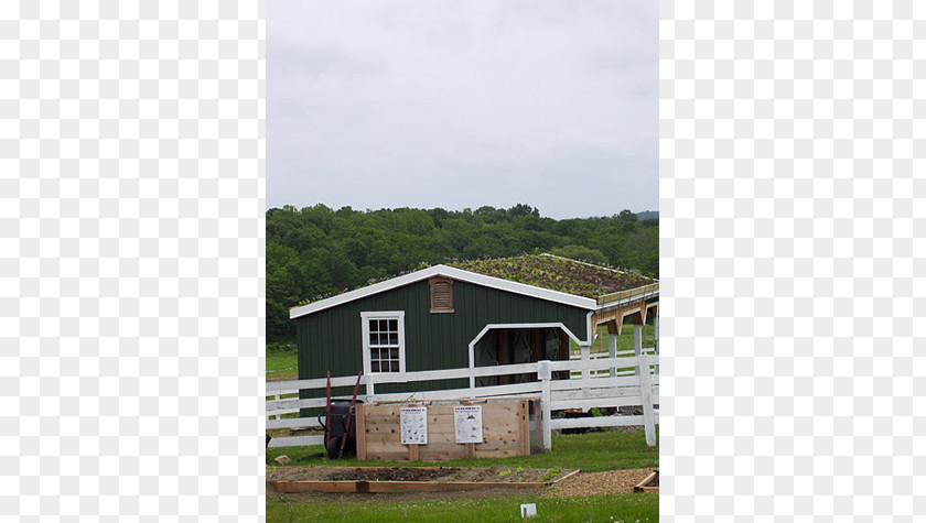 Eastern Prickly Pear Property Pasture Roof PNG