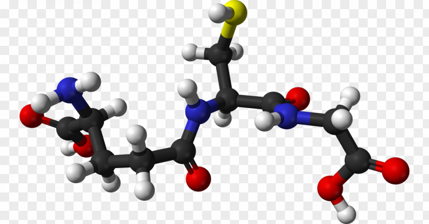 Glutathione Antioxidant Cell Redox Radical PNG