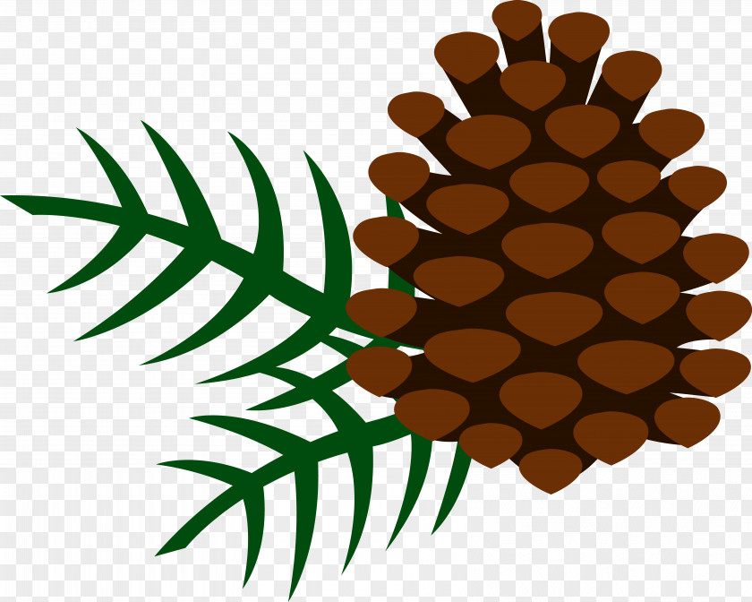 Pine Cliparts Free Conifer Cone Tree Clip Art PNG