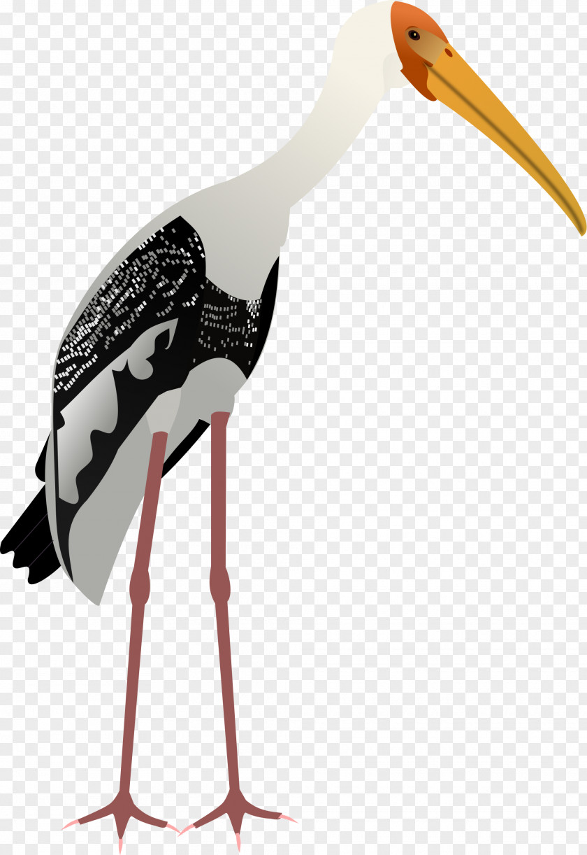 Stork White Crane Bird PNG