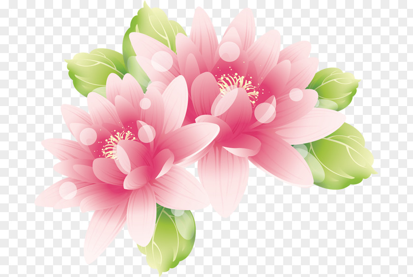 Vector Painting Lotus Pink Flowers Wallpaper PNG