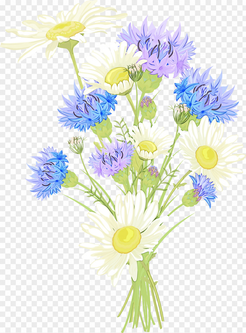 Daisy Family Flowers Background PNG