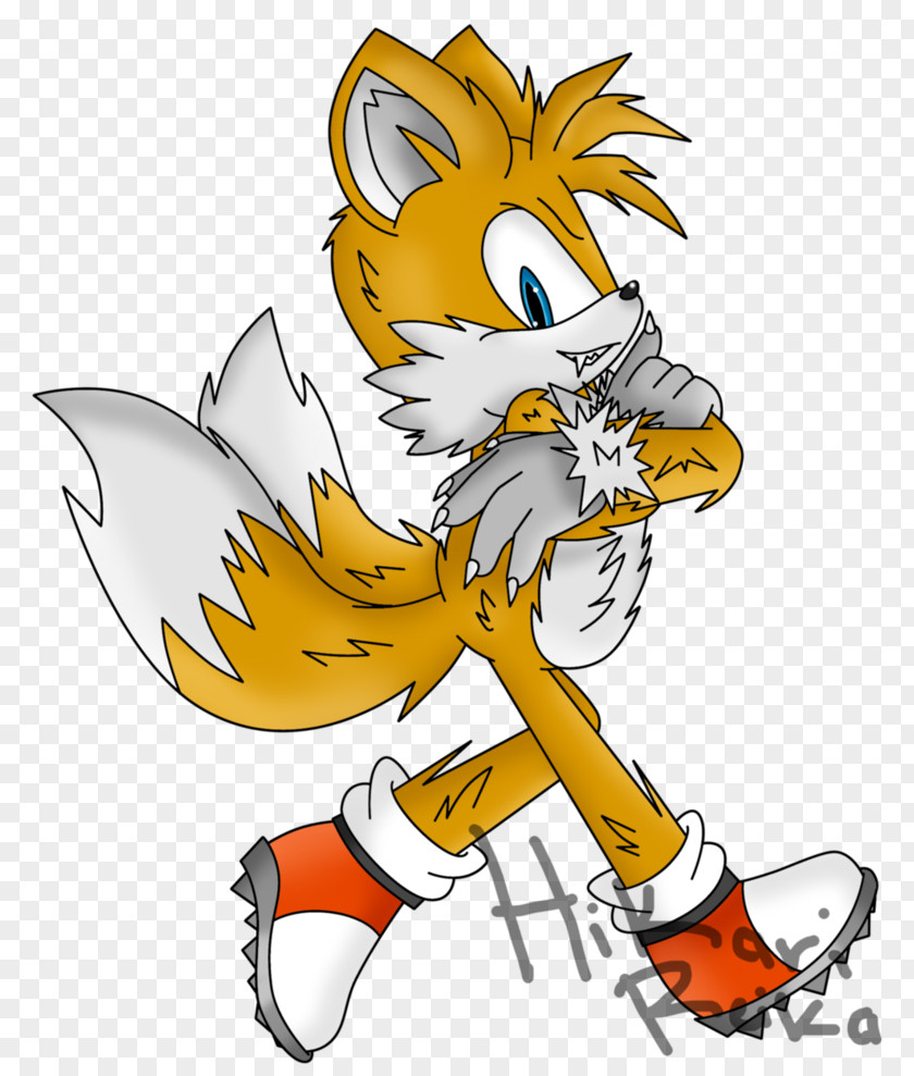 Fox Tails Sonic The Hedgehog Cat PNG