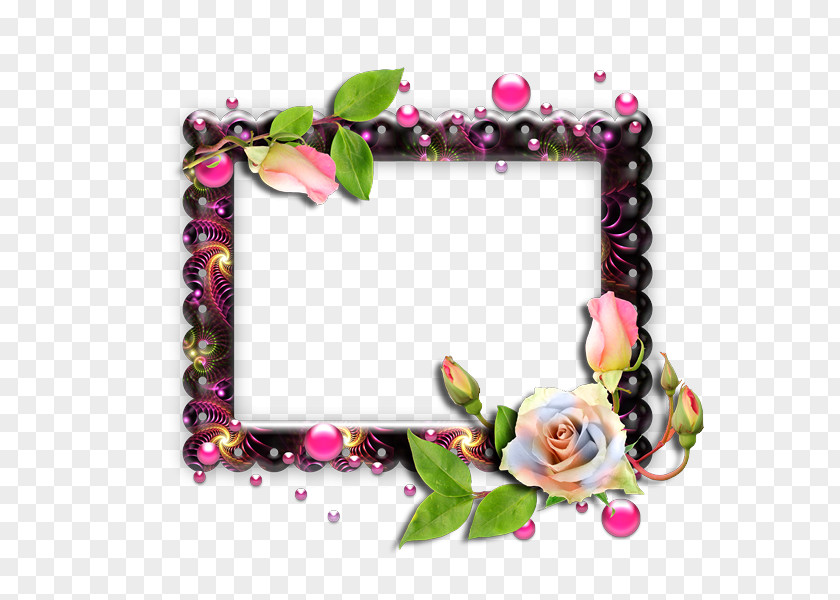Birthday Image Friendship Picture Frames PNG
