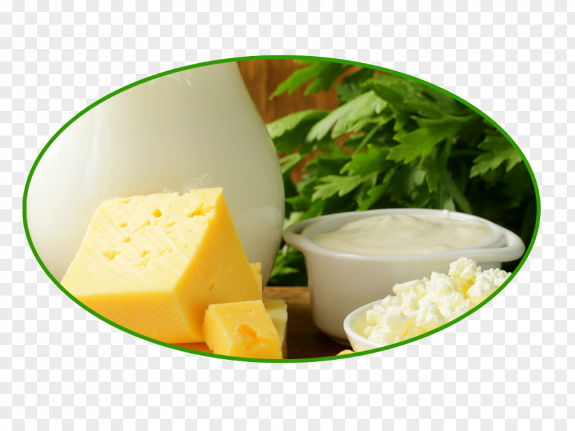 CheesE Butter Milk And Products Dairy Cheese Adulterant PNG