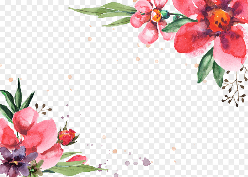 Flowers Border PNG