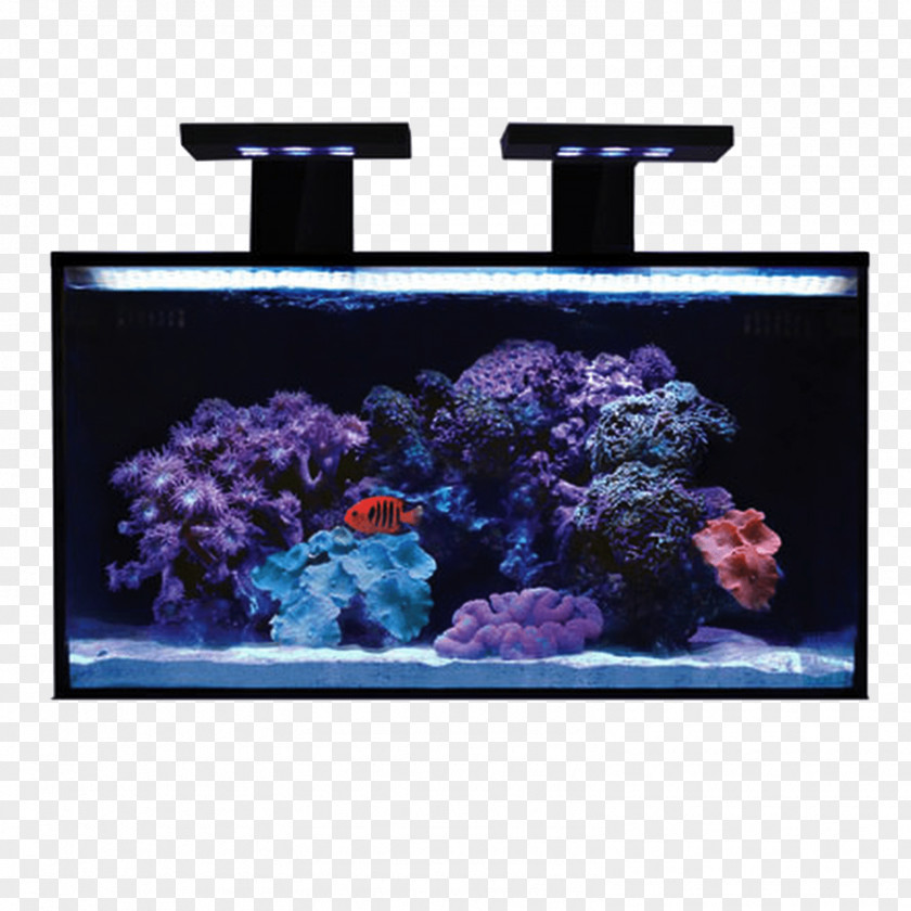 Light Reef Aquarium Nano Gallon PNG