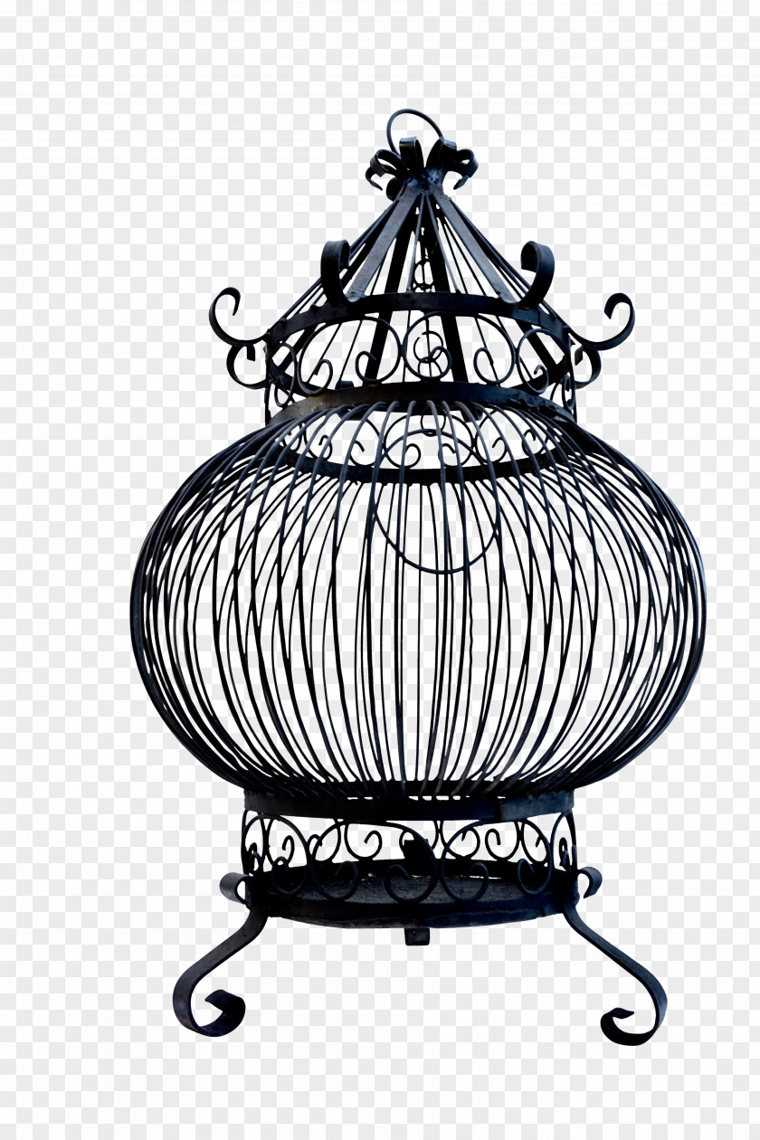 Serveware Metal Bird Cage PNG