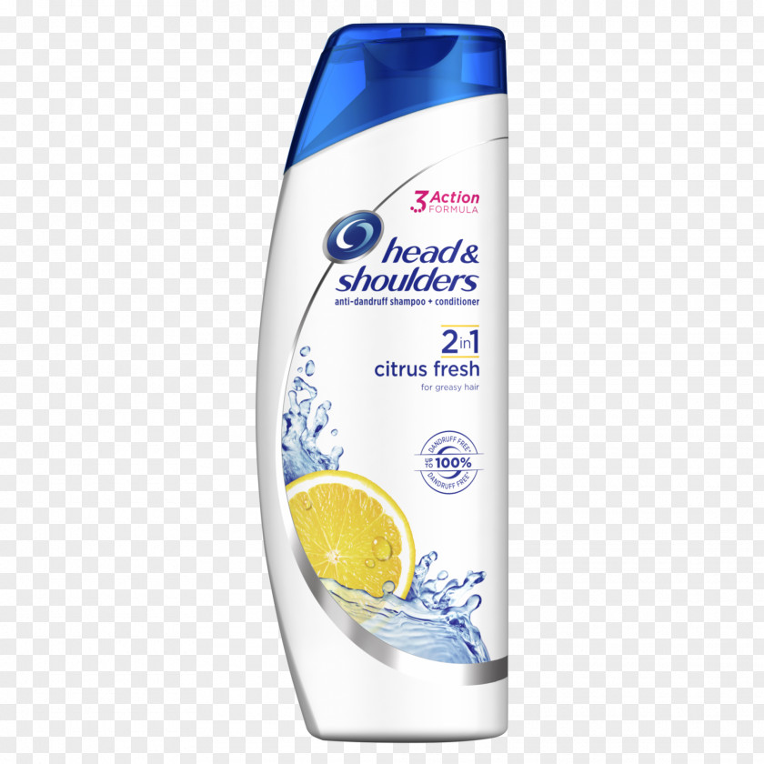 Shampoo Head & Shoulders Dandruff Hair Conditioner Greasy Care PNG