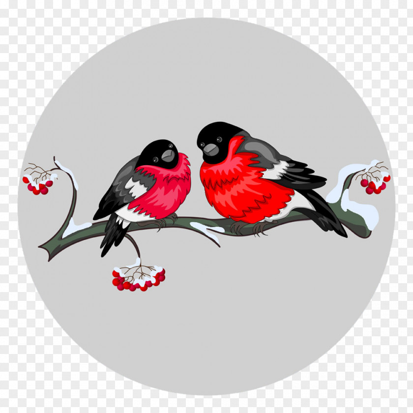 Cartoon Birds Vector Clip Art PNG