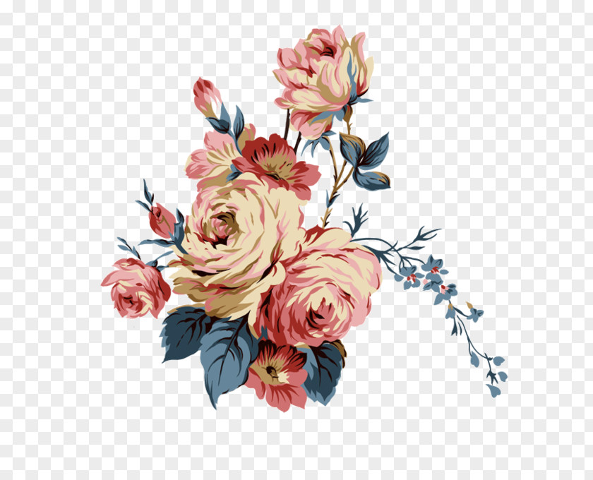 Flower Illustration Rose Clip Art PNG