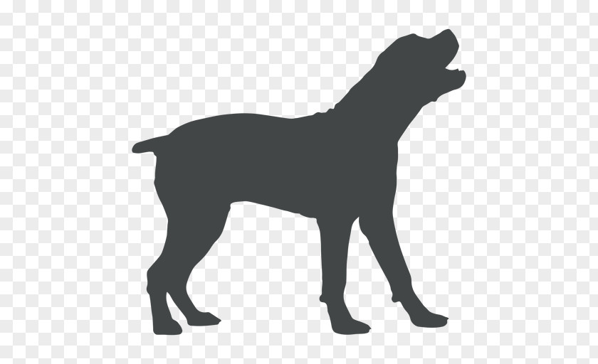 Husky Silhouette Labrador Retriever Puppy Dog Breed Coyote PNG