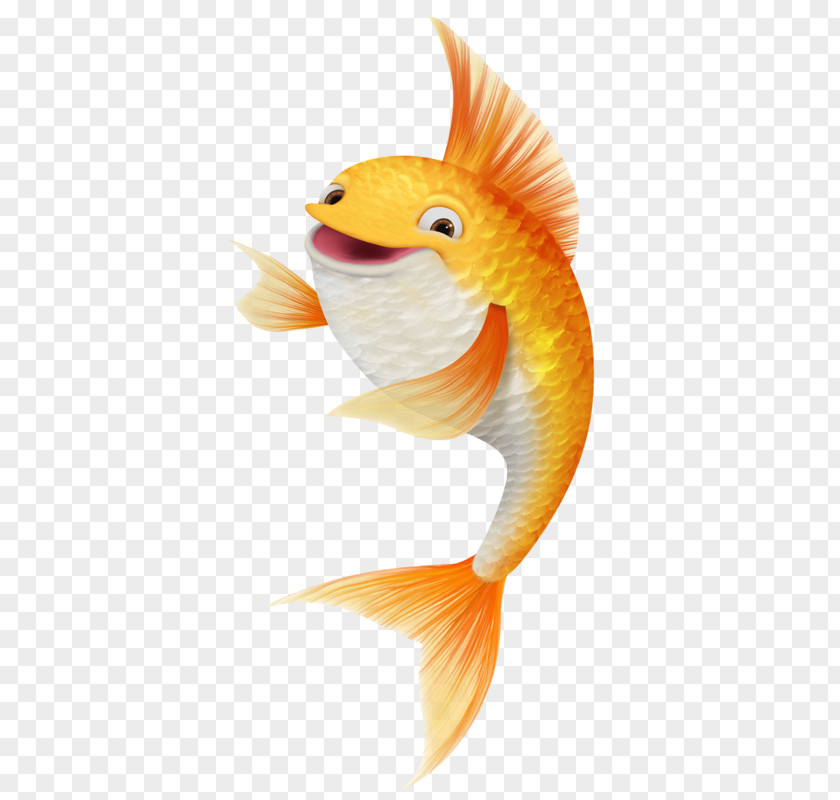 Laughing Koi Fish Goldfish Drawing PNG