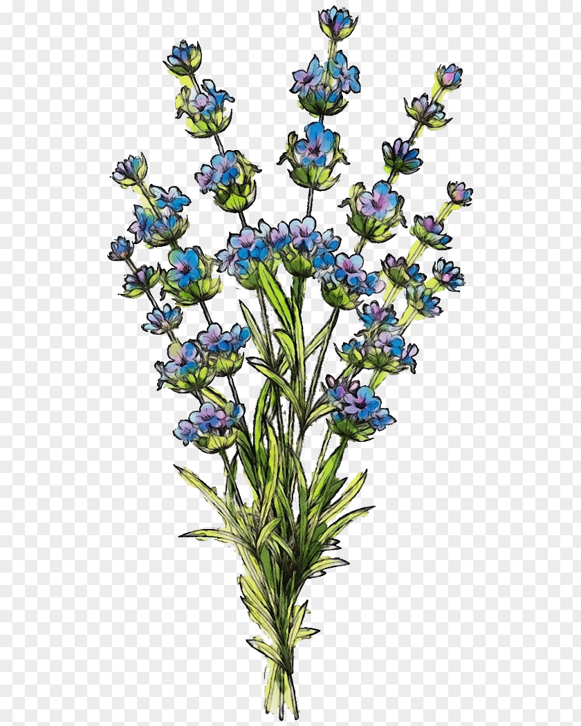 Lavender PNG