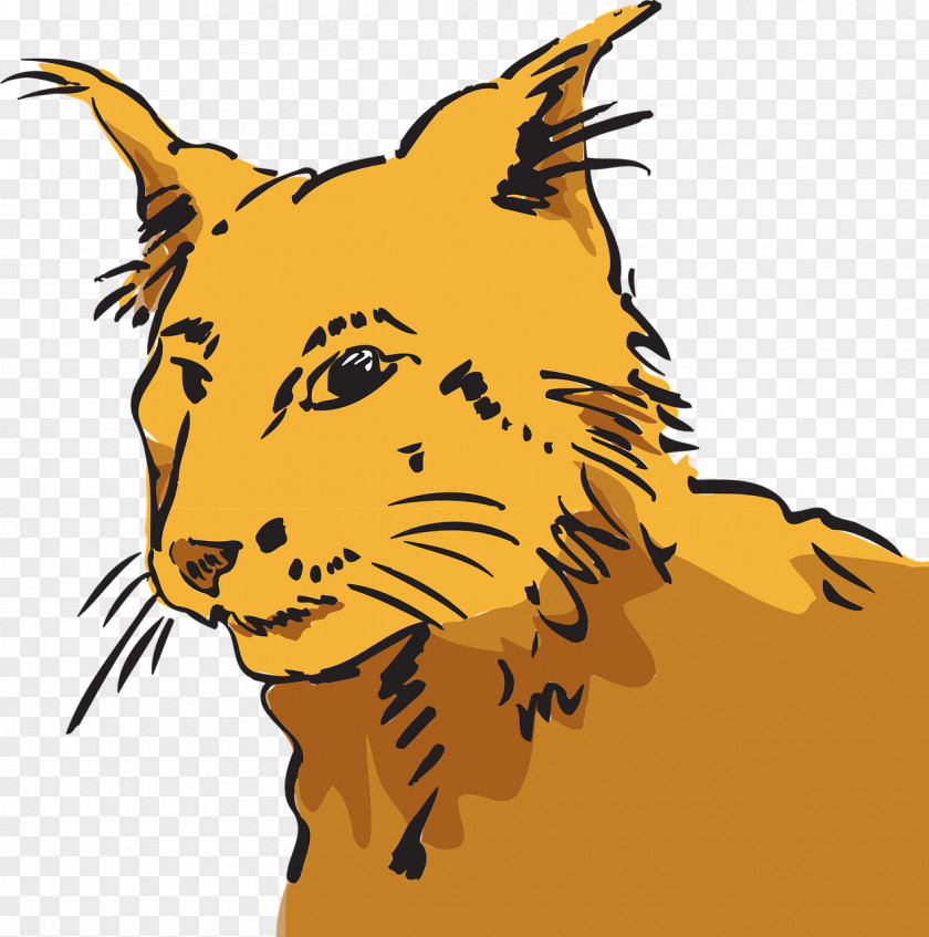 Kitten Whiskers Wildcat Tiger Lion PNG