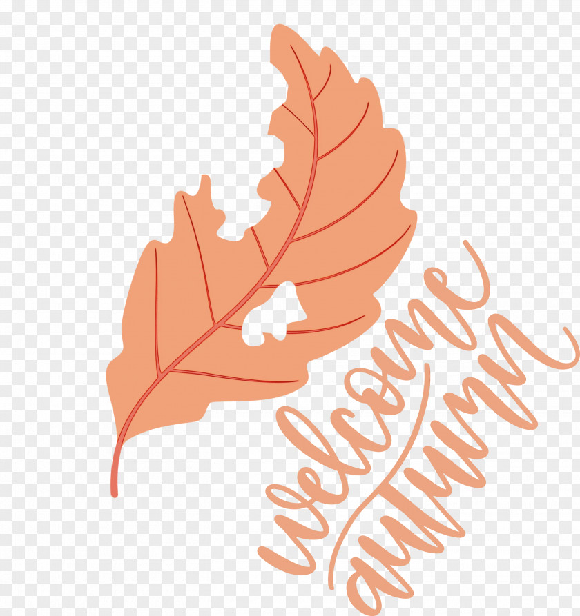 Leaf Logo Flower Tree Meter PNG