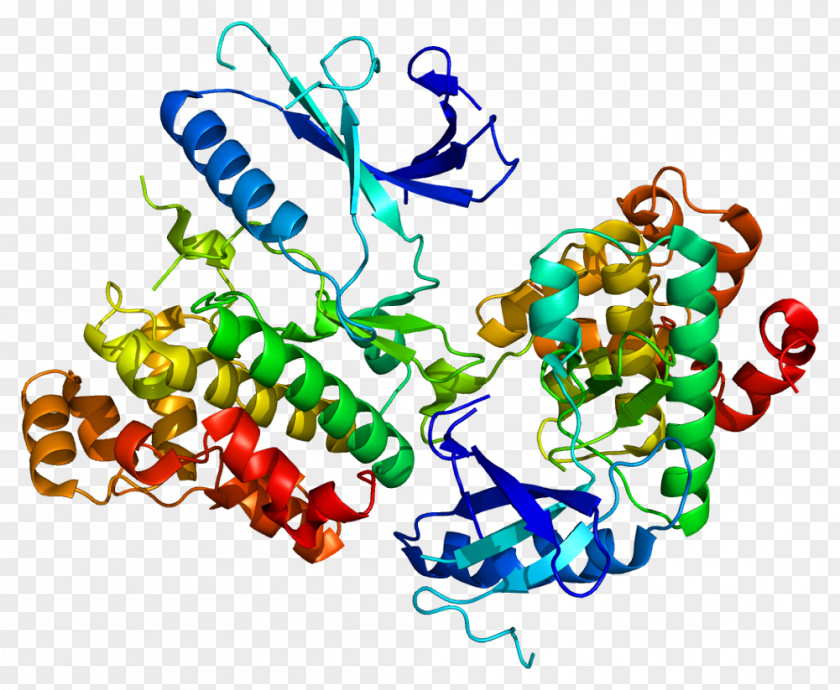 Monoamine Oxidase B Neurotransmitter Inhibitor Enzyme PNG