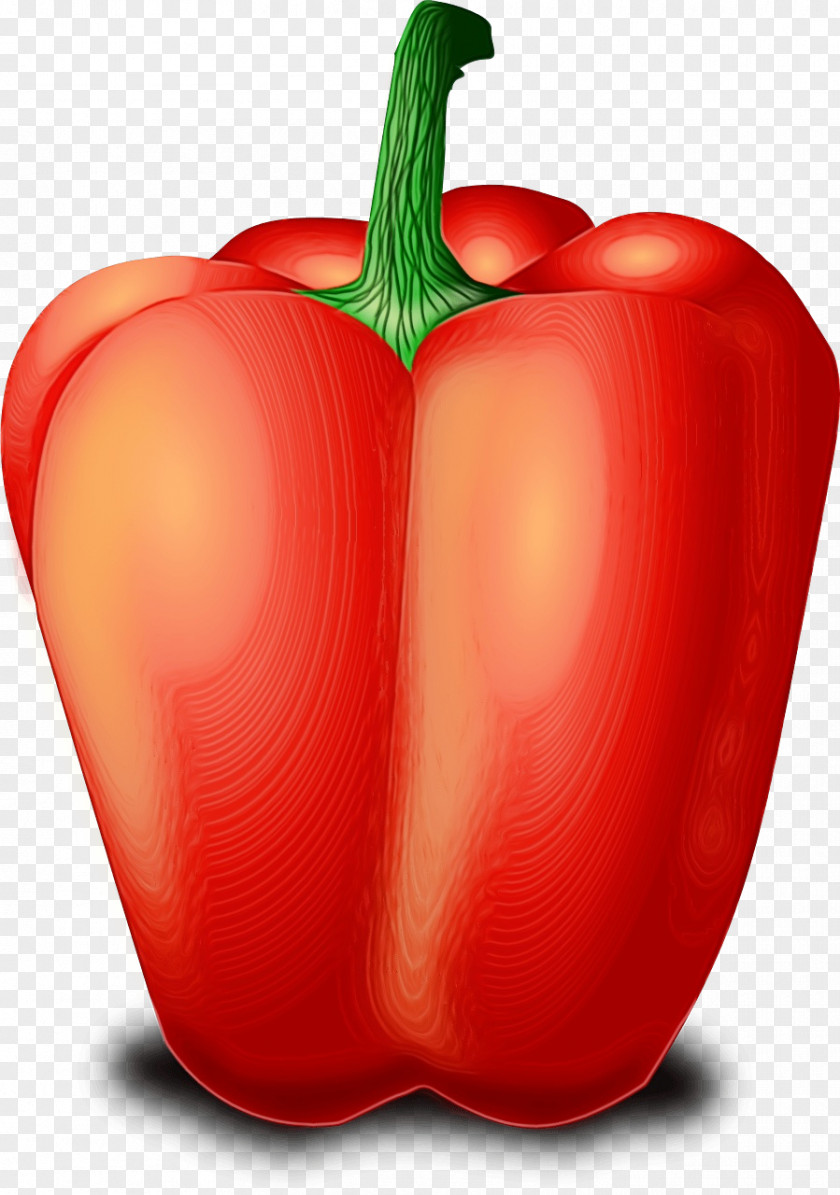 Paprika Plant Natural Foods Bell Pepper Pimiento Capsicum Vegetable PNG