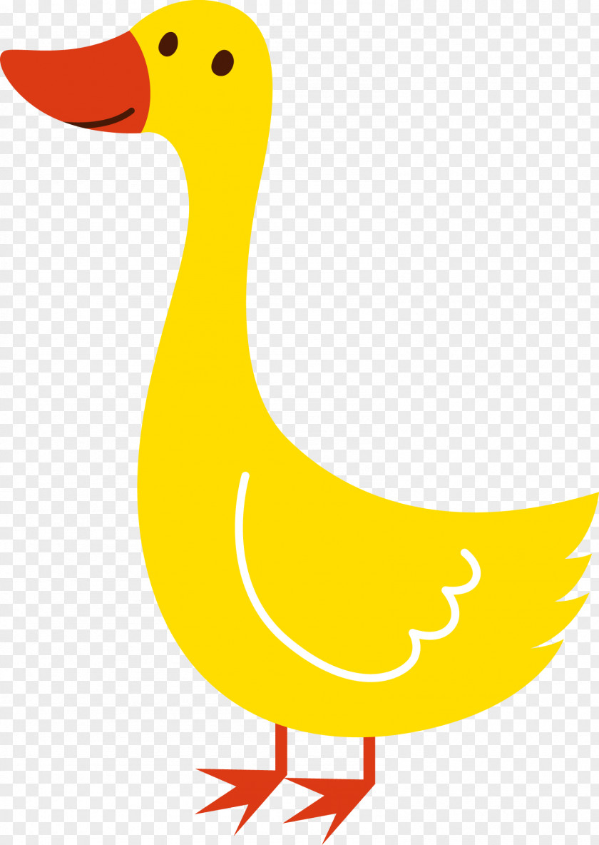 Goose Duck Canada Clip Art PNG