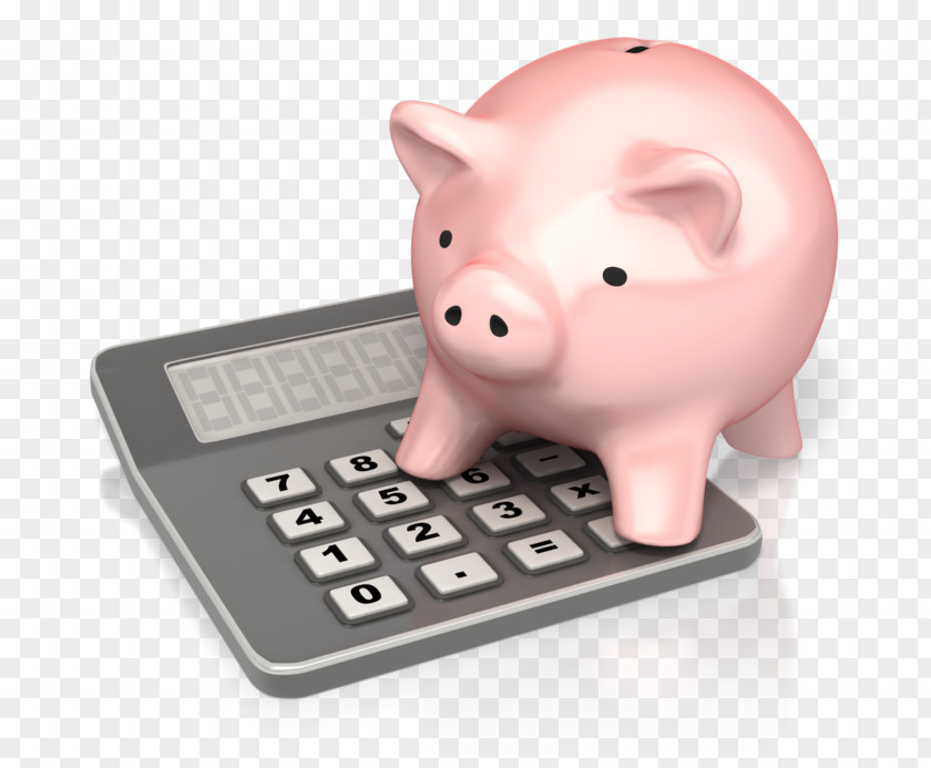 Income Piggy Bank Tax Money Clip Art PNG
