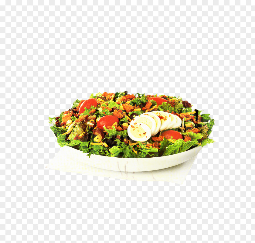 Israeli Salad Garden Chef Cartoon PNG