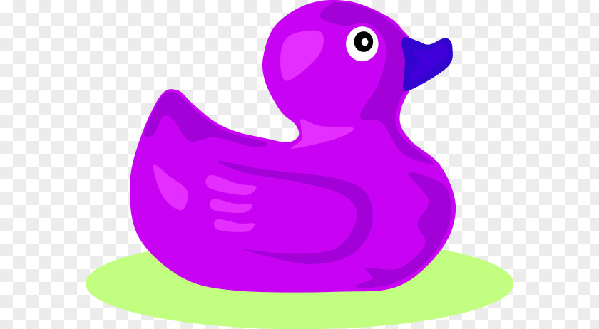 Purple Duck Cliparts Rubber Clip Art PNG
