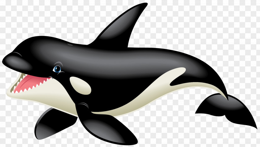 Dolphin Killer Whale White-beaked Marine Biology PNG