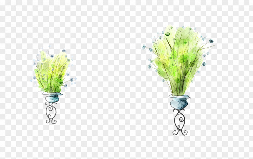 Drawing Plants Watercolor Painting Wallpaper PNG