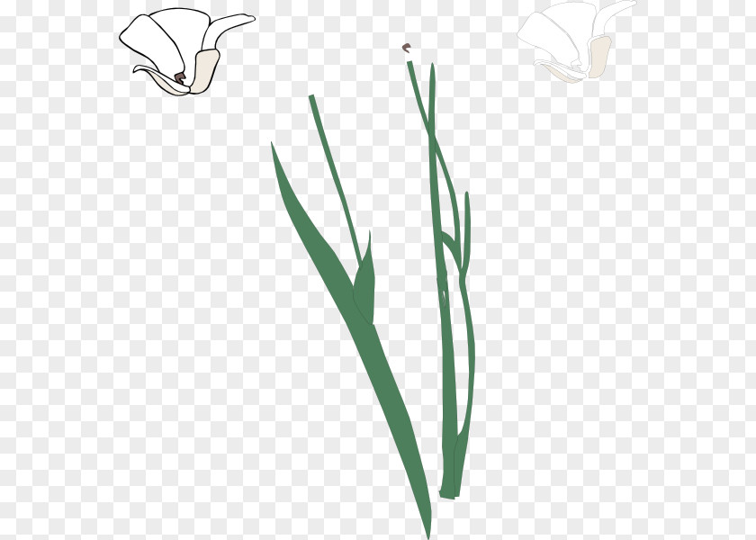 Flower Stem Template Plant Free Content Clip Art PNG