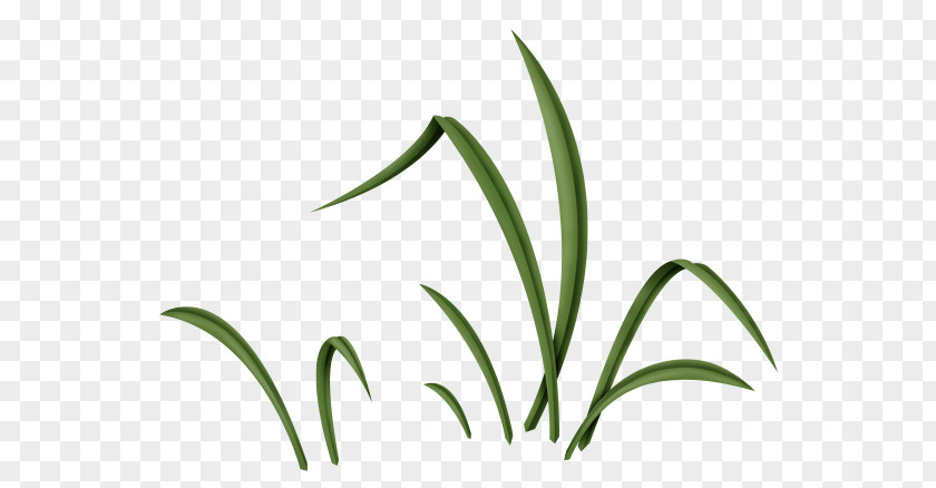 Greenery Clipart Plant Leaf Bugs Bunny Babs Easter Clip Art PNG