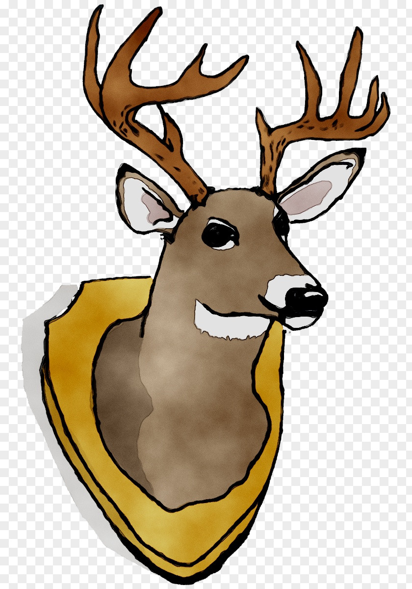 Reindeer Antler Elk Clip Art Character PNG