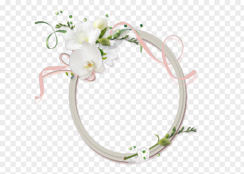 White Flower Decoration Oval Frame Picture Digital Photo Photography PNG