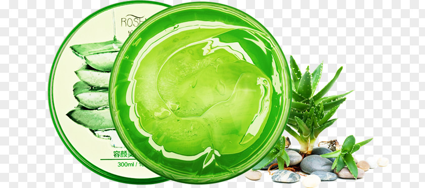 Aloe Vera Gel Cosmetics Skin Care PNG