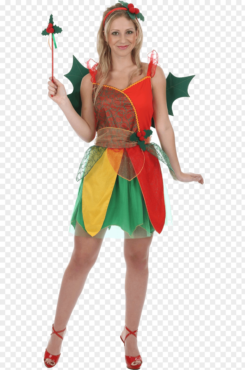 Fairy Santa Claus Costume Party Christmas Dress PNG