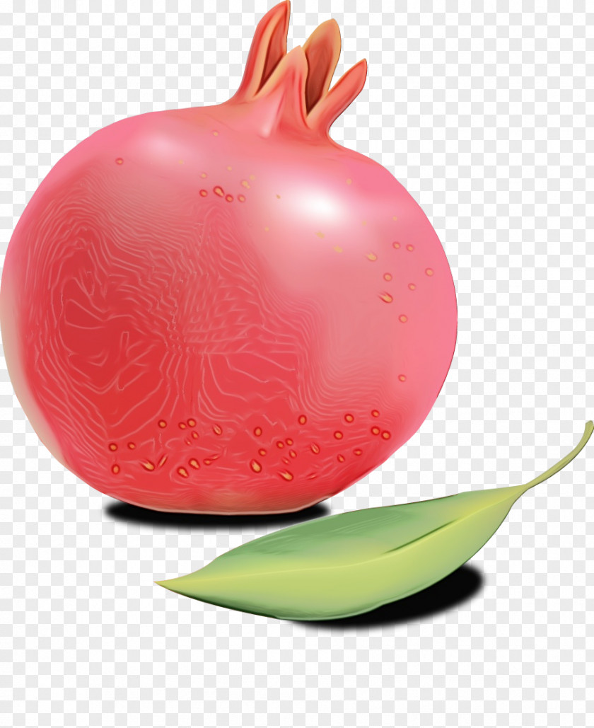 Magenta Food Pink Fruit Plant Radish Vegetable PNG