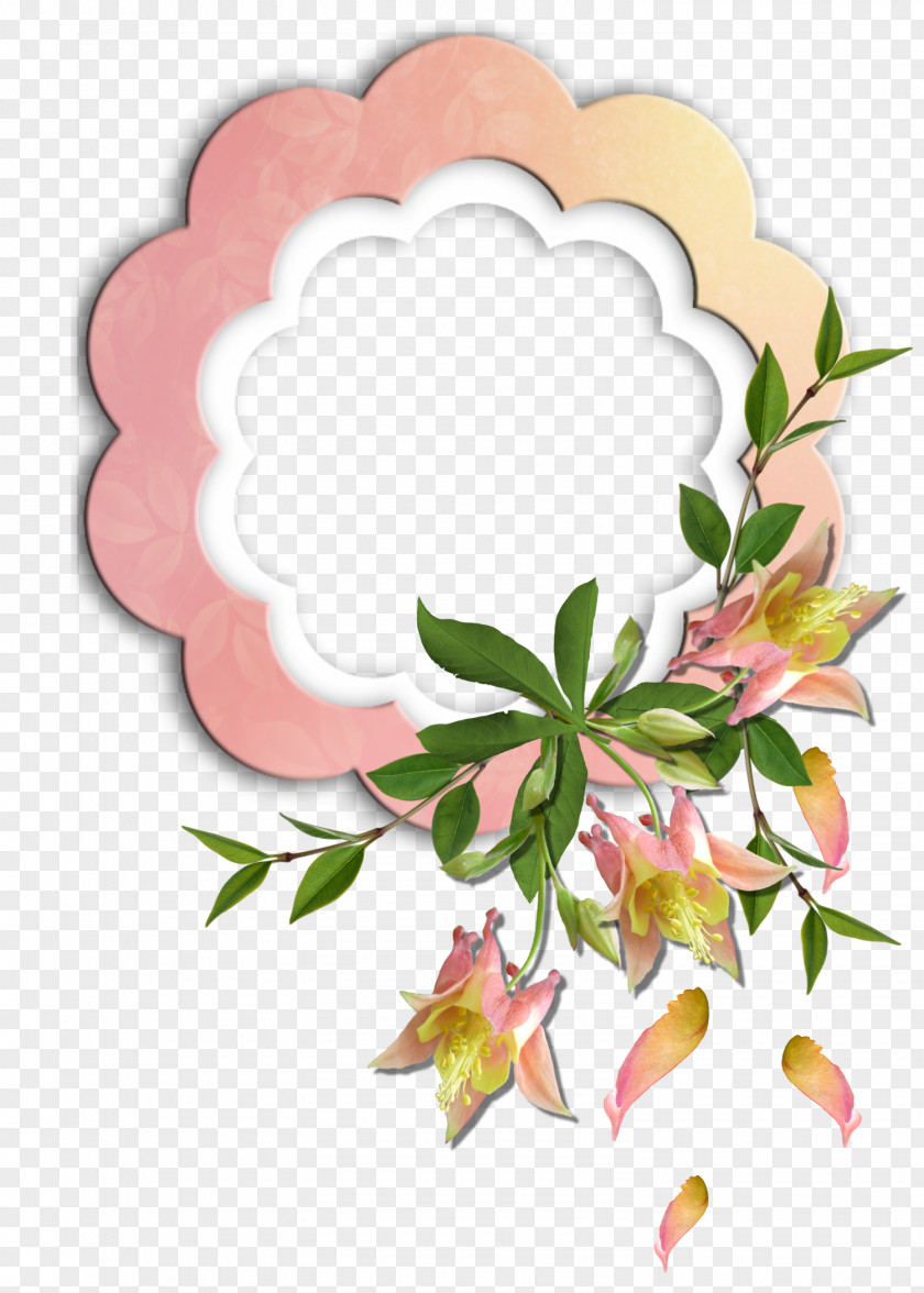 Magnolia Picture Material Floral Design Frames Flower Photography PNG