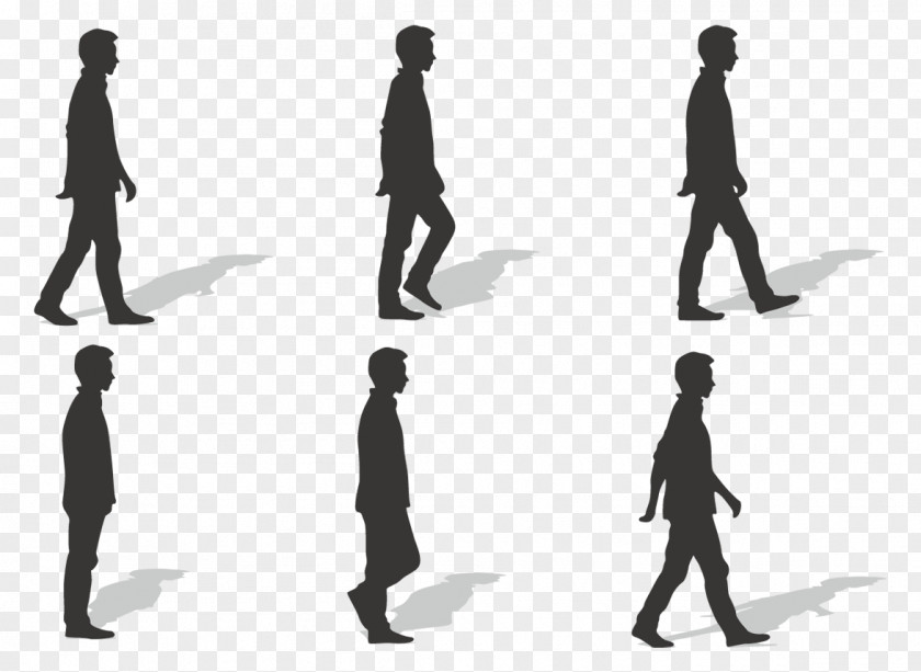 Ms. Silhouette Vector Walk Cycle Walking Euclidean PNG