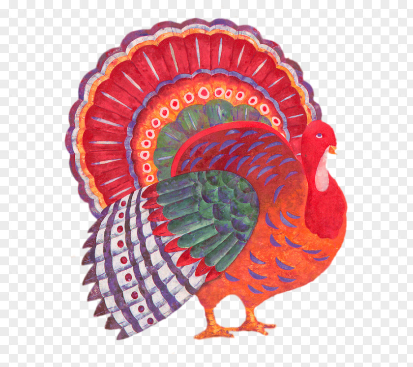 Obstetric Turkey Galliformes Thanksgiving Day Hug PNG