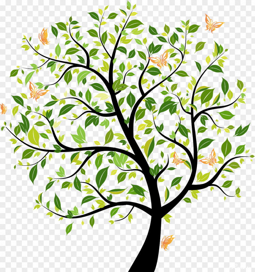 Tree Drawing Graphic Design PNG