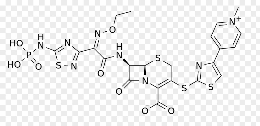 Ceftaroline Fosamil Cephalosporin Antibiotics Drug Haemophilus Influenzae PNG